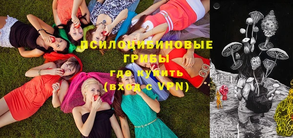 бутират Вяземский