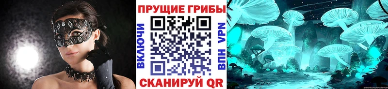 Галлюциногенные грибы ЛСД  Купить закладки  Ростов 